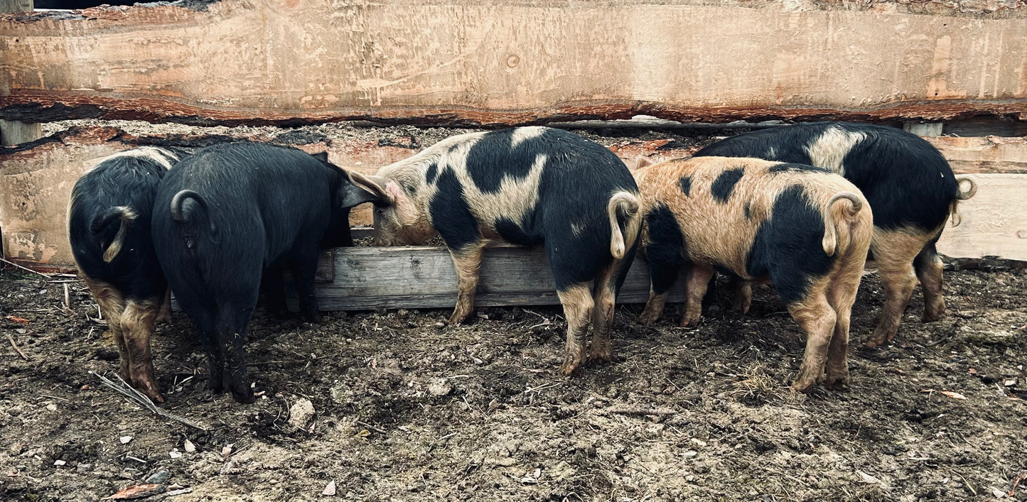 1/2 Pork - DEPOSIT